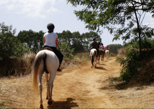 Paseando por Tenerife a caballo